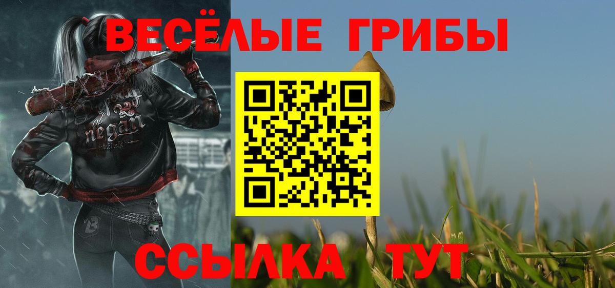 Артём  Галлюциногенные грибы MAGIC MUSHROOMS  Вход с VPN 